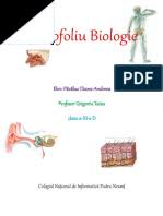 Comenzi de ba ză unix/linux. Curs 6 Sisteme De Operare