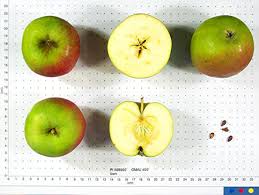 Search for stark nursery fruit trees with us. Stark
