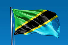 The tanzanian flag features primary colors of green, yellow, and blue. Tanzanian Cardinal Reject Ideological Colonization Through Foreign Aid