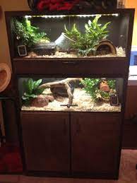 Its Aliiivvveee 95 Complete Ultamate Ball Python Enclosures Reptile Terrarium Terrarium Diy Reptile Enclosure