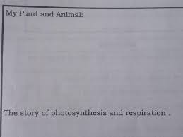 In fact, light pollution can affect the areas surrounding our cities for tens or even hundreds of miles, reaching leaves no living thing ever untouched. Draw A Sample Plant And Animal Illustrate How Photosynthesis And Respiration Exist Between These Two Brainly Ph