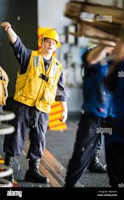 Image result for Yellow 2016 Fleet