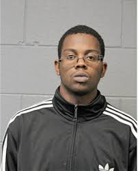 ᐅ Illinois Criminal Records 2009-2025