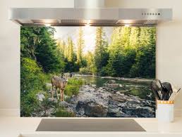 Fond De Hotte Animaux Sur Mesure En Verre Ou Inox