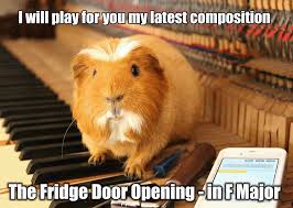 Pin On Guinea Piggn Can Ya Dig It