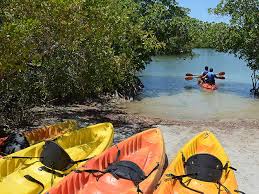 Oleta river state park is a surprising gem amid the bustle of this dense urban area, providing both beach access and paddlers a place to explore the mangrove islands of the oleta river and biscayne bay. Oleta River State Park Things To Do In Eastern Shores Oleta Miami