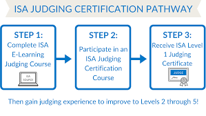 JUDGING PROGRAM INFORMATION — International Surfing Association
