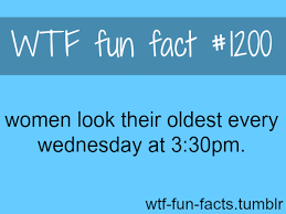 More images for funny but true facts » Women Look Their Worst On Wednesday At 3 30pm More Wtf Fun Facts Fun Facts Funny Facts