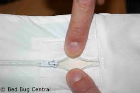 Bed Bugs 101 Mattress And Box Spring Encasements Bedbug Central