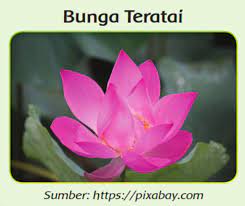 Maybe you would like to learn more about one of these? C2n8pxtdqpm95m