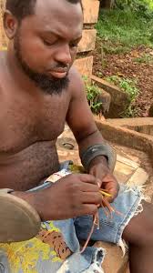 Childhood families this is how I made this cage