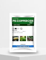 PN-Coppercide 50WP