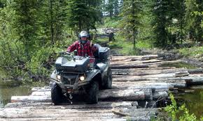 Our website has been carefully developed to allow access to our entire website where possible for users with special needs. Eagles And Owls And Bears Oh My Riderswest