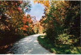 Il Des Plaines River Trail In The Fall River Trail Bicycle Trail Trail