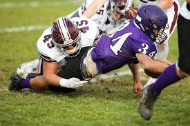 Image result for Peddiea