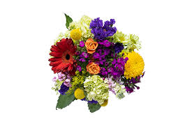 Check spelling or type a new query. Schwanke Floral Life In Bloom Jewel Osco