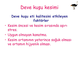 Devekusu Eti Ve Et Urunlerinin Beslenmemizdeki Yeri Ve Onemi Ppt Indir