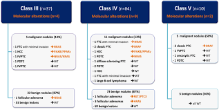 The sensitivity, specificity, and accuracy were 90.0%, 94.3%, and 91.1%, respectively, whereas the kappa and roc values were 0.78 and 0.914, respectively. Diagnostic And Prognostic Value Of A 7 Panel Mutation Testing In Thyroid Nodules With Indeterminate Cytology The Sweetmac Study Springerlink