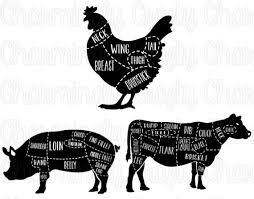 Chicken Pork Beef Pig Cow Poultry Meat Cut Chart Svg Png Studio Cuttable Quote For Silhouette Cameo Cricut Vinyl