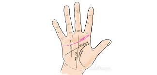 What Do The Lines On Your Palm Mean Exemplore