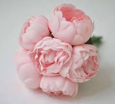 Floral illustration for your design, background or print stock photo, images and stock photography. 6pcs Silk Peonies Blush Pink Peonies Light Pink Bridesmaid Peonies Bouquets Pink Wedding Flowers Silk Flowers Not Real Touch Silk Peonies Real Touchsilk Flowers Aliexpress