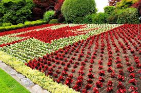 Maybe you would like to learn more about one of these? Red And White Flowers Planted In A Canadian Flag Theme In A Flower Bed At A Park Stock Photo Picture And Royalty Free Image Image 61306019