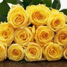 Check spelling or type a new query. Wholesale Flowers In Bulk For Wedding And Events J R Roses Wholesale