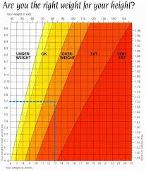 The same groups apply to both men and women. Body Mass Index Psychology Wiki Fandom