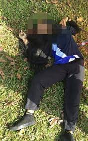 Anda bingung apa penyebab mesin potong rumput di gas mati tiba tiba padahal masih baru ? Borneo Pelajar Maut Terkena Bilah Pisau Mesin Rumput Facebook