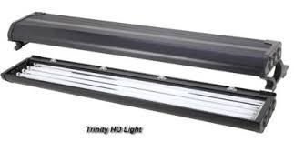 Trinity 36 High Output Aquarium T 5 Light Sale 245