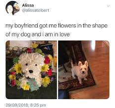 Maybe you would like to learn more about one of these? Dog Memes Explore Tumblr Posts And Blogs Tumgir