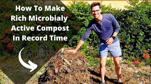 We did not find results for: How To Make Rich Microbialy Active Compost In Record Time Abundant Edge
