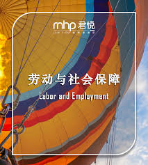 MHP君悦律师事务所 专业 代理 - 权益 保障 团队