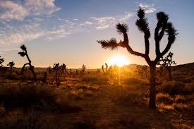 Reise und amerika stockfotografie von dreamstime. 9 Beeindruckende Orte Im Sudwesten Der Usa Die Du Als Fotograf Besuchen Musst
