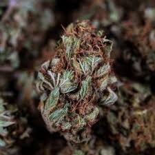 What are the best cbg hemp flower strains? How To Recognize High Quality Cbd Flowers Complete Guide