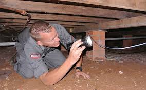 Where do home size and product types fit in? How Much Does Pest Control Cost