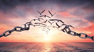 What are the Health Benefits of Sobriety | Crest View Recovery