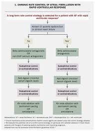 Image result for Atrial Fibrillation Rate Control