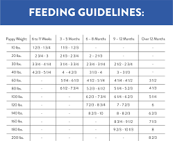 Fromm Large Breed Puppy Feeding Chart Best Picture Of