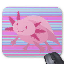 Cute Pink Albino Axolotl Mouse Pads From Zazzle Com Mouse Pad Pink Cute Pink