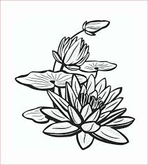 Scopri ricette, idee per la casa, consigli di stile e altre idee da provare. 30 Gambar Sketsa Bunga Mudah Bunga Matahari Mawar Tulip Sakura Teratai Sepatu Melati Dll Seni Budayaku