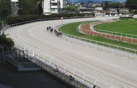 『仕組み』＝『ロジック』 を知っている者だけ!？ 知らないと終わってしまうということです。 競馬で安定して利益を上げていくためには 【馬連・複勝】などを効率よく的中させる事が 最も安定して利益を上げていく事がで 笠松競馬で単勝万馬券、枠単特払い、３連単７０万超馬券! Ng8bz4cpbrkpxm