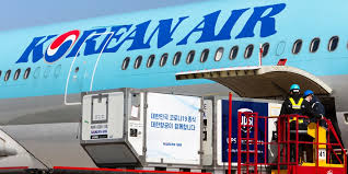 Zásilky s nebezpečným zbožím musí být připraveny v souladu s příslušnými předpisy o nebezpečném. Home Korean Air Cargo