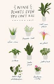 Keep Your Planner Organized With These Free Printable Inserts Plants House Plants Indoor House Plants