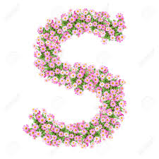 ✓ free for commercial use ✓ no attribution required ✓ high quality images. Letter S Alphabet With Zinnia Flower Abc Concept Type As Logo Typography Design Stock Photo Picture And Royalty Free Image Image 40321063