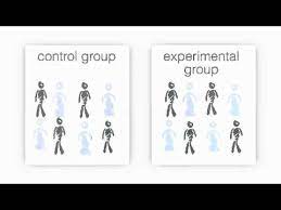What Is A Control Group? - Youtube