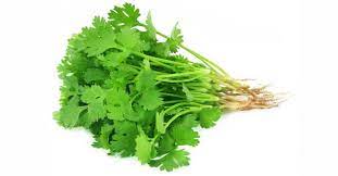 క త త మ రల ఈ ఉపయ గ ల త ల స త అసల వదలర Telugu Bullet Amazing Benefits Of Cilantro Or Coriander