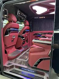 Image result for Hibiscus Red 2015 Vito