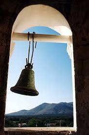 Venezuela Schlange In Schnaps Der Spiegel