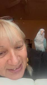 Jordan Lake area, lost bird March 17